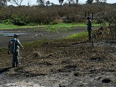 Grupo Técnico inicia trabalho de resgate à animais atingidos pelo fogo no Pantanal