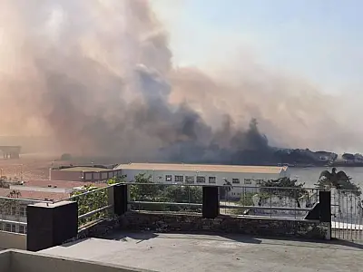 Prefeitura pede ajuda ao Estado e a União para combater incêndios no Pantanal