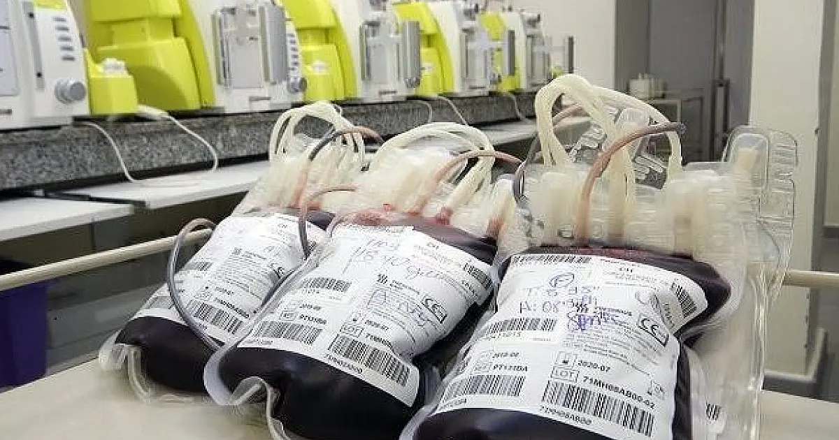 Instituído em 2005, 14 de Junho é o Dia Mundial do Doador de Sangue