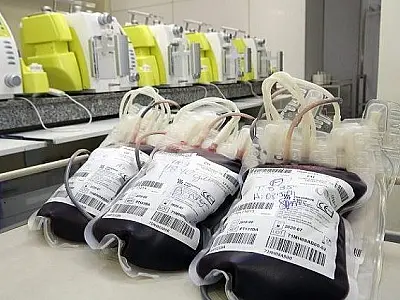 Instituído em 2005, 14 de Junho é o Dia Mundial do Doador de Sangue