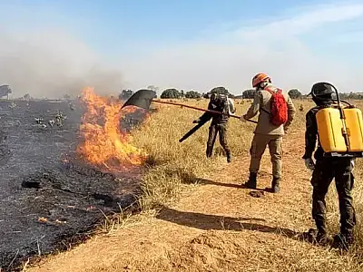 Bombeiros concentram ações contra o fogo em Aquidauana, Miranda e na região de Albuquerque
