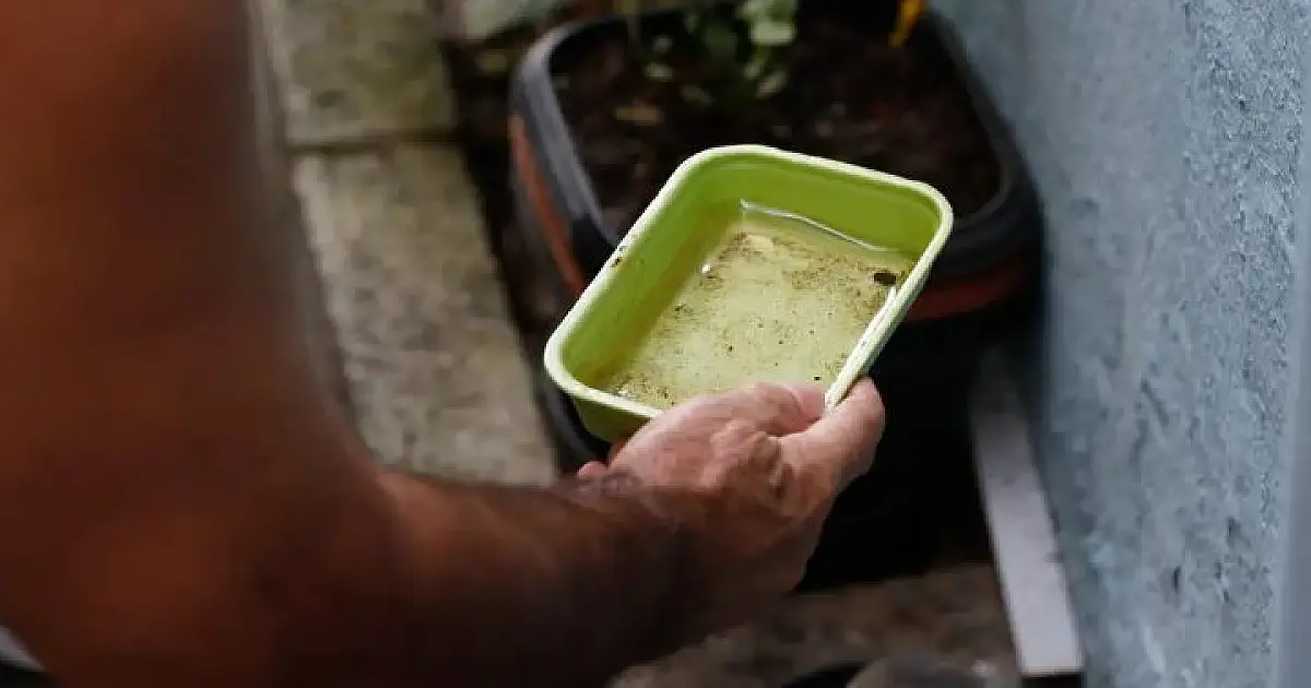 Dicas simples podem livrar sua casa dos focos da dengue e se prevenir contra doença