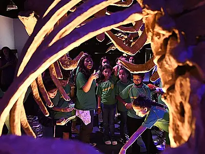 Bioparque Pantanal abre para público geral a partir desta terça-feira