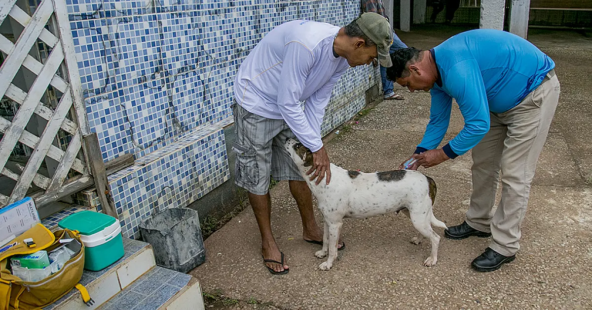 Hoje é o Dia do Bem Estar Animal