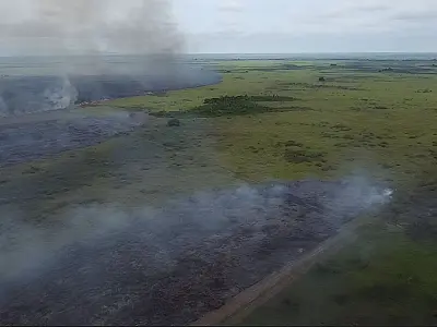 Especialistas de Portugal estão em MS para traçar estratégias de prevenção à incêndios no Pantanal