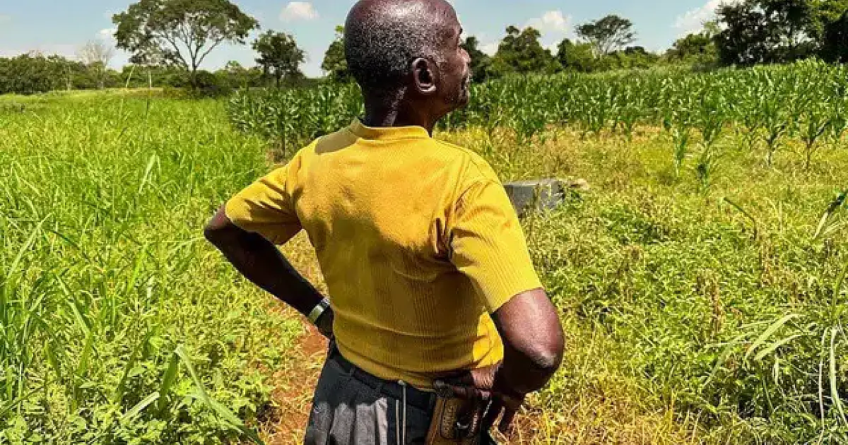 Comunidades quilombolas de Mato Grosso do Sul serão mapeadas em 30 dias