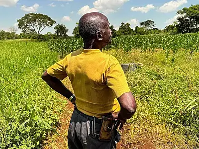 Comunidades quilombolas de Mato Grosso do Sul serão mapeadas em 30 dias