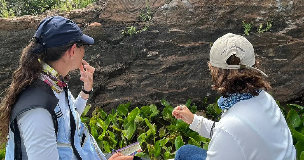 Pantanal tem sítios arqueológicos a serem mapeados para servir de produto turístico