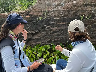 Pantanal tem sítios arqueológicos a serem mapeados para servir de produto turístico