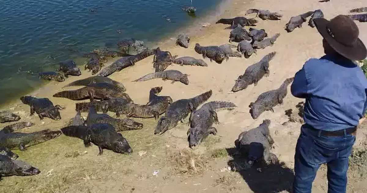 Em busca de advogados, "Airton do Jacaré" teme ter de abandonar casa de 30 anos