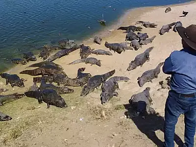 Em busca de advogados, "Airton do Jacaré" teme ter de abandonar casa de 30 anos