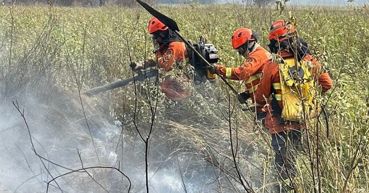 Bombeiros aproveitam clima favorável para intensificar ações de rescaldo