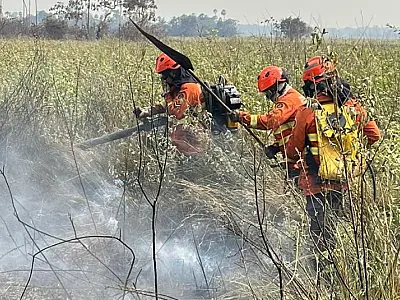 Bombeiros aproveitam clima favorável para intensificar ações de rescaldo
