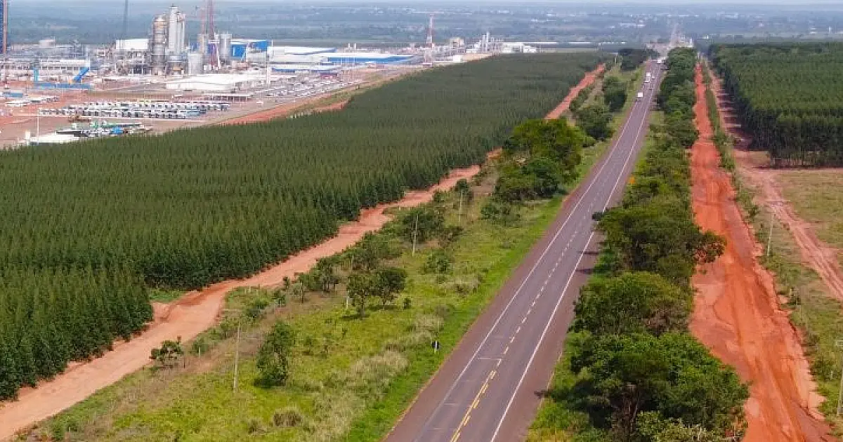 Adiado, leilão da Rota da Celulose deve voltar ao mercado no primeiro trimestre de 2025