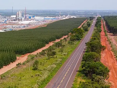 Adiado, leilão da Rota da Celulose deve voltar ao mercado no primeiro trimestre de 2025