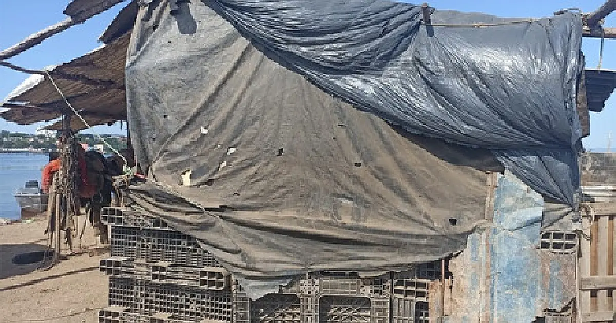 Proprietários de rancho são presos por manter casal em situação de trabalho escravo