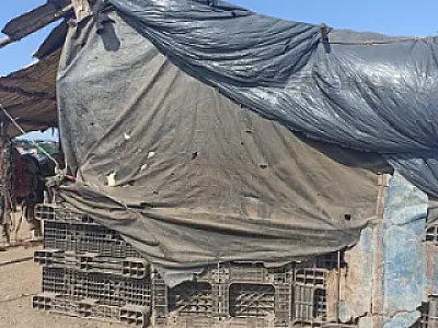 Proprietários de rancho são presos por manter casal em situação de trabalho escravo