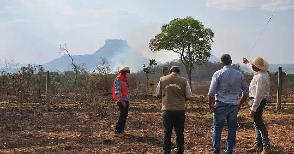 Preservação do Pantanal depende de proteger Amazônia e Cerrado, diz pesquisador