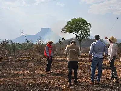 Preservação do Pantanal depende de proteger Amazônia e Cerrado, diz pesquisador