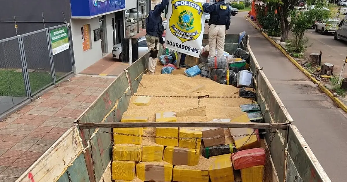 PRF apreende mais de 16 toneladas de maconha na fronteira