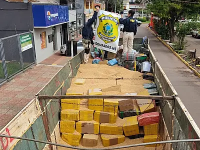 PRF apreende mais de 16 toneladas de maconha na fronteira