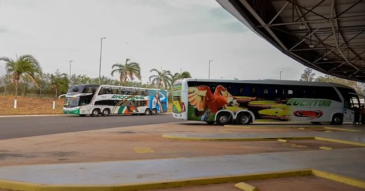 Nova lei proíbe que empresas de fretamento vendam bilhetes de passagem
