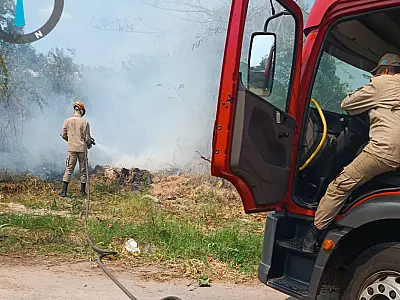 Incêndio em terreno baldio marca plantão dos Bombeiros