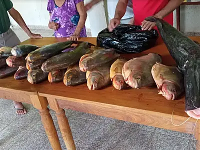 Pescado apreendido na Operação Semana Santa é doado para instituições filantrópicas