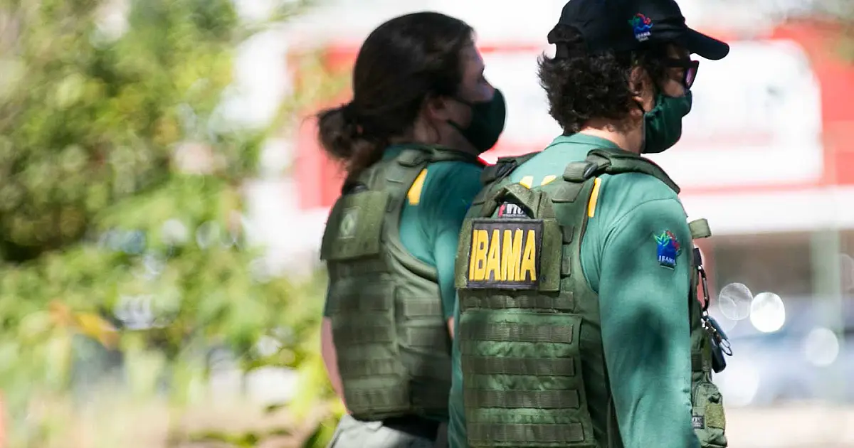 Portaria autoriza concurso do Ibama com 568 vagas e salários de até R$ 13,7 mil