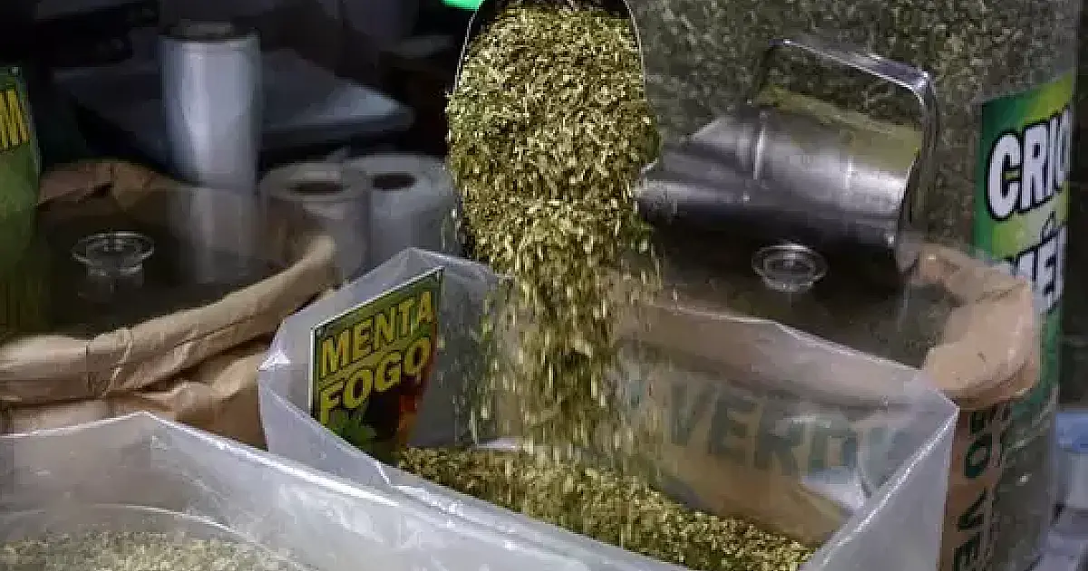 Tereré entra oficialmente na cesta básica brasileira e preços podem até mudar