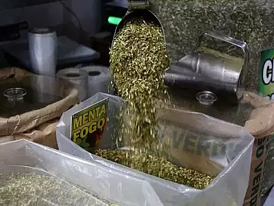 Tereré entra oficialmente na cesta básica brasileira e preços podem até mudar