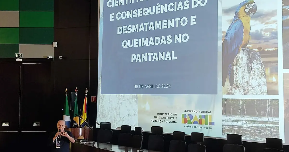 Ecoa entrega carta sobre incêndios no Pantanal à ministra Marina Silva