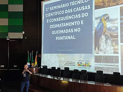 Ecoa entrega carta sobre incêndios no Pantanal à ministra Marina Silva