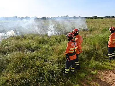 Com exceção do Pantanal, MS antecipa prazo e libera queima controlada