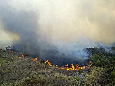 Seca de 4 anos faz crescer queimadas no Pantanal em 2022