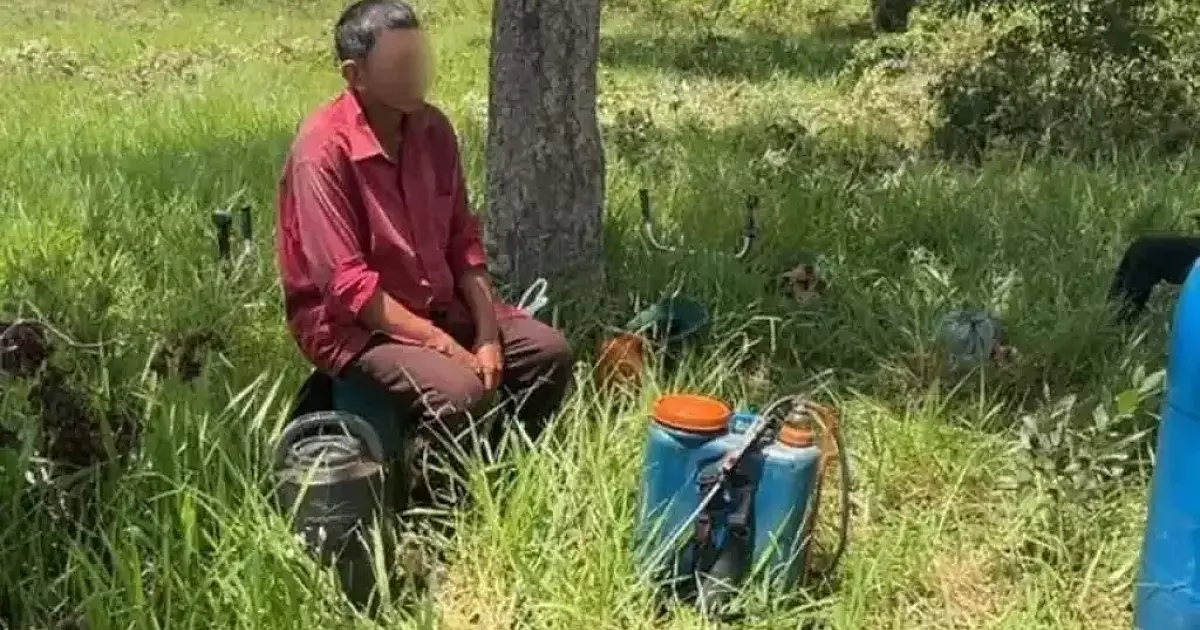 No mapa do trabalho escravo, MS tem 28 fazendas na "lista suja"