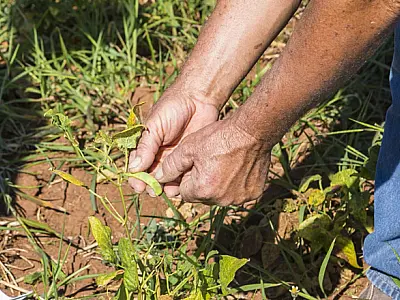Prefeitura institui serviço para acelerar reforma agrária e regularização de terras