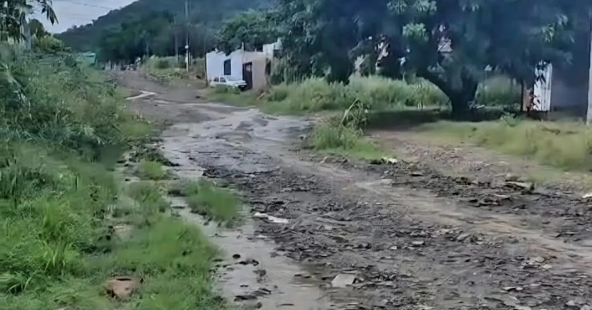 Drenagem e pavimentação da Rua Amazonas é solicitada por Cazarin