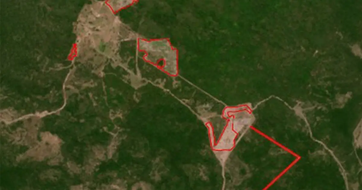 Desmate ilegal de 97 hectares no Pantanal gera acordo em Corumbá