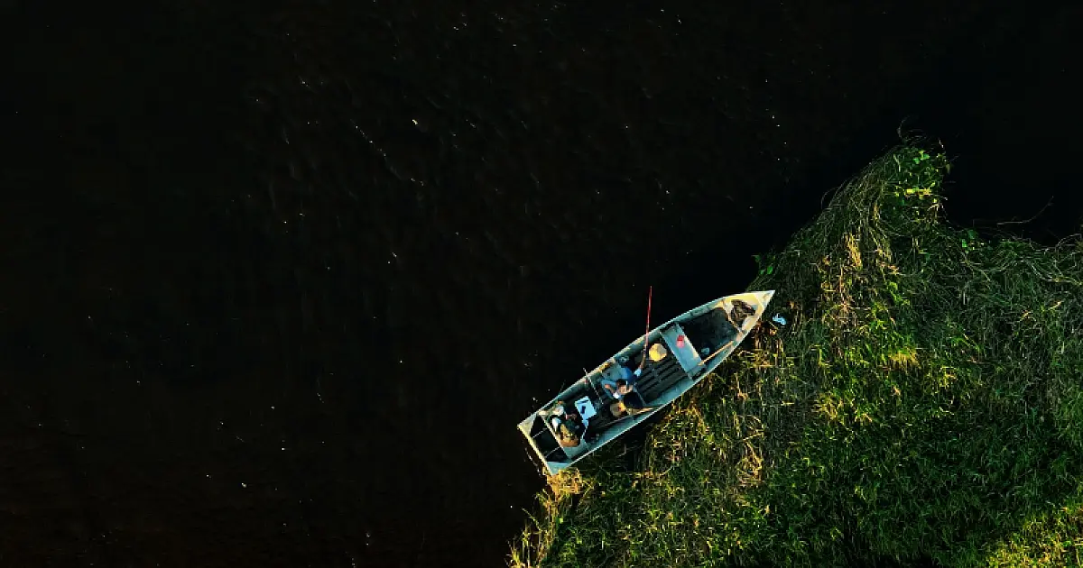 Documentário “Pantanal Negro” reconstrói olhar sobre o Pantanal