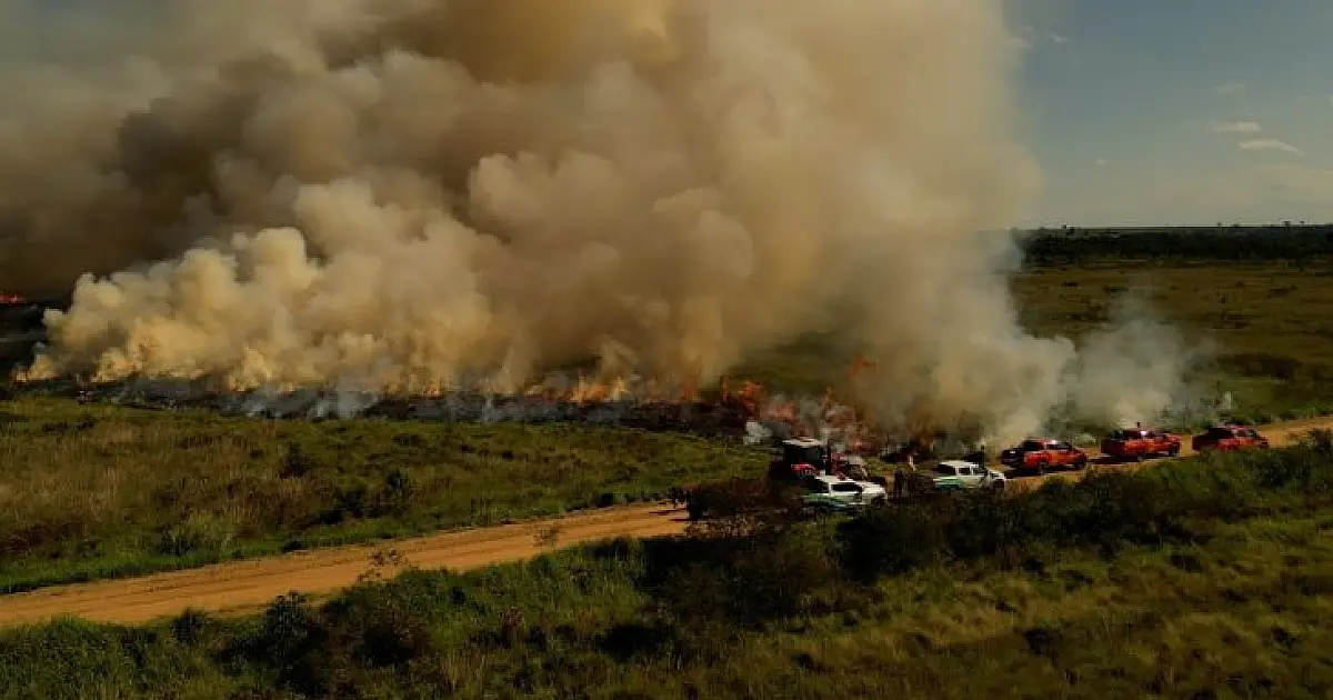 Queima controlada tenta evitar novos incêndios em parque de MS