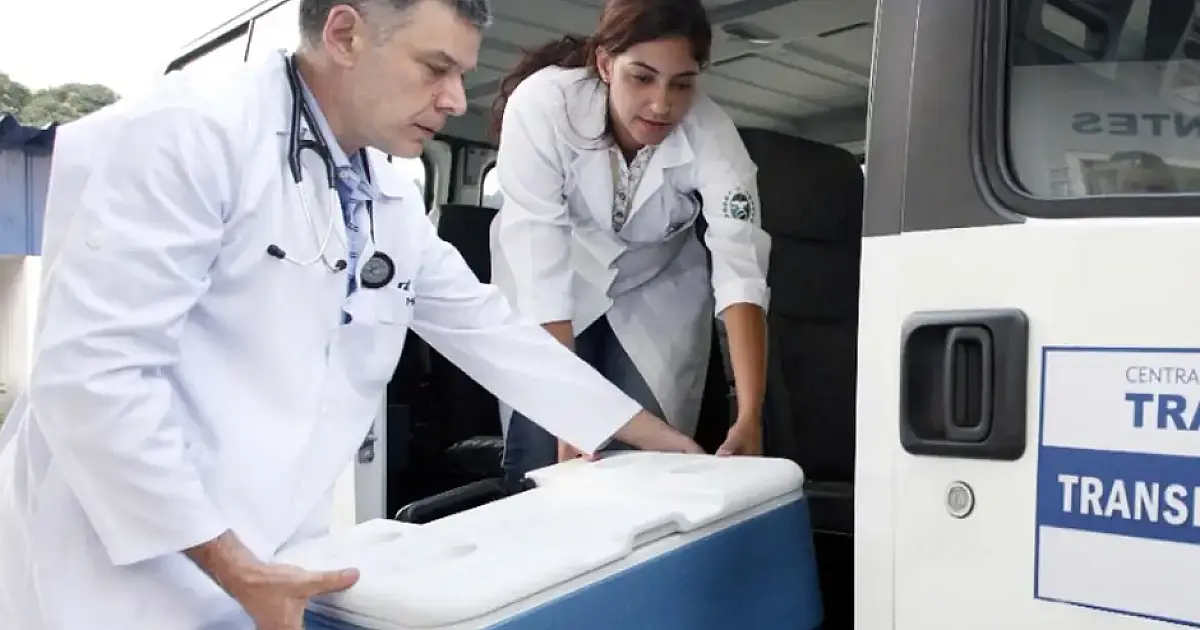 Brasil bate recorde de transplantes em 2025