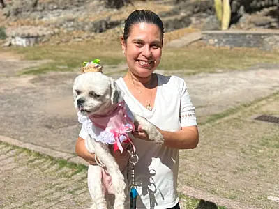 "Arraiá Bom Pra Cachorro" é hoje no Moinho Cultural