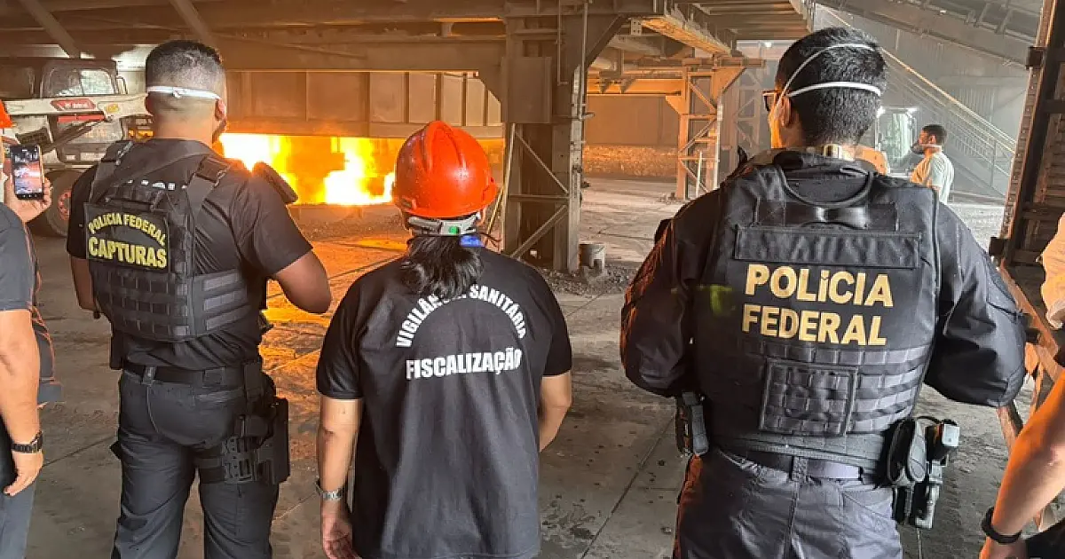 Skunk lidera apreensões em carga de drogas destruída pela Polícia Federal