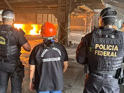 Skunk lidera apreensões em carga de drogas destruída pela Polícia Federal