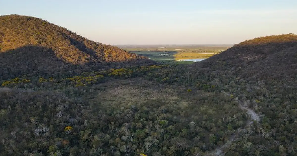 Segunda fase do PSA Pantanal anuncia novas propriedades selecionadas em julho