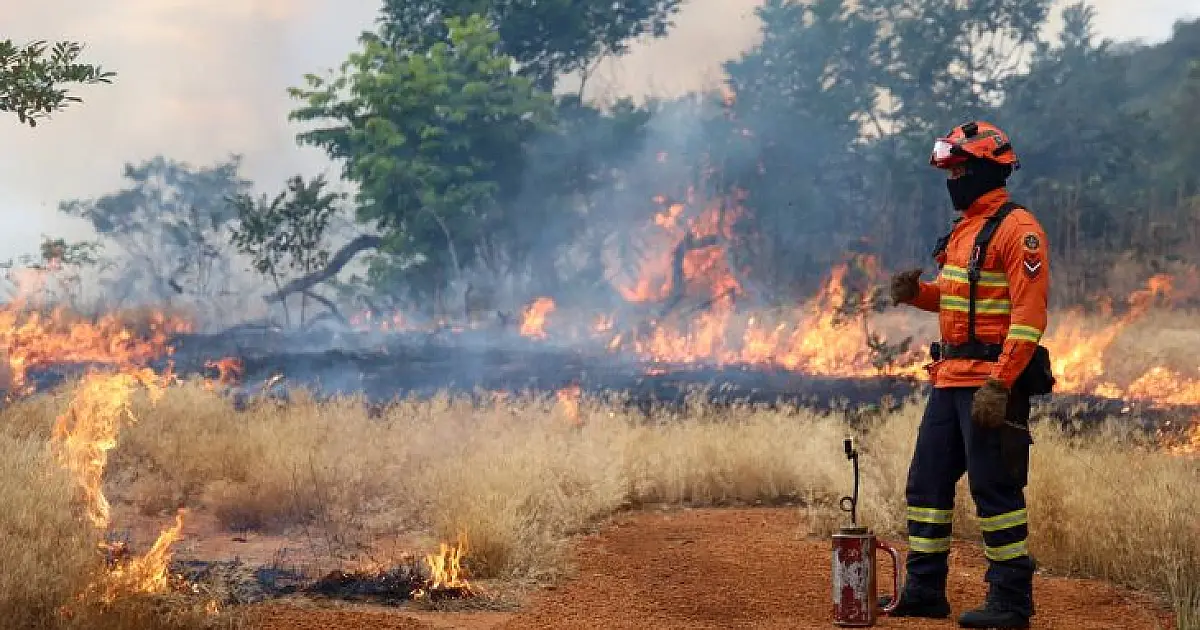 Preparação contra fogo avança em áreas de risco de Mato Grosso do Sul