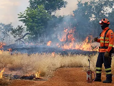 Preparação contra fogo avança em áreas de risco de Mato Grosso do Sul
