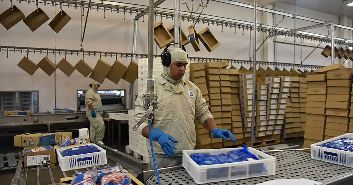 Exportações de industrializados de MS somam US$ 605,1 milhões em maio