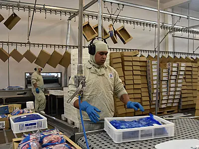 Exportações de industrializados de MS somam US$ 605,1 milhões em maio